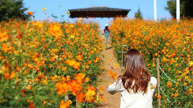 <오늘의 날씨> 중부지방 ‘쾌청’⋯남부는 비 계속