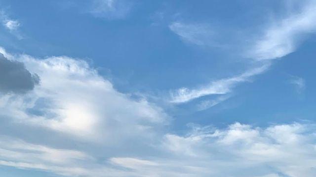 '사랑'을 주제로 한 독립영화 심사 보는 이 배우