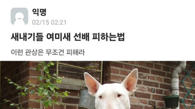 은근 공감한다는 여미새 관상
