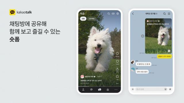 카카오톡 '숏폼' 승부수 통할까···유저 반발은 선결과제