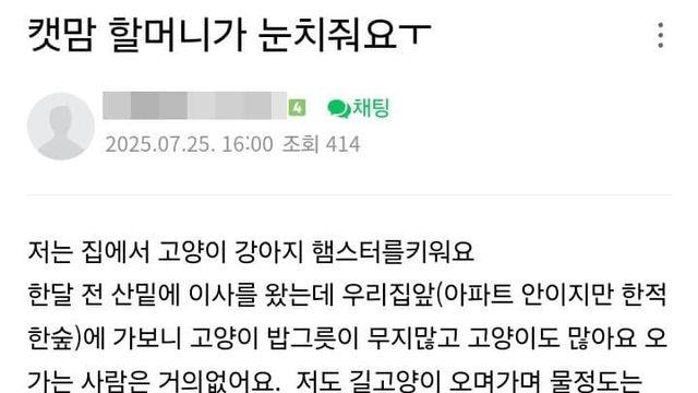 한 늙다리 캣맘의 행적