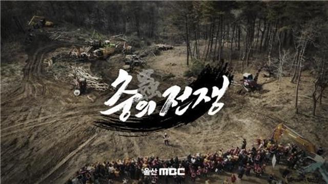 소나무재선충 악순환 조명…울산MBC 다큐 '충(蟲)의 전쟁'