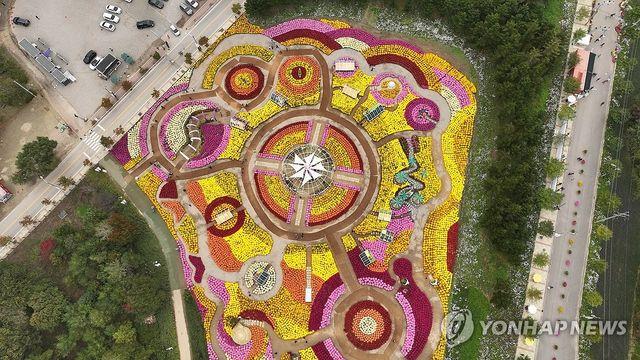 꽃길서 여유와 잊지 못할 추억을…인제 가을꽃축제 D-2