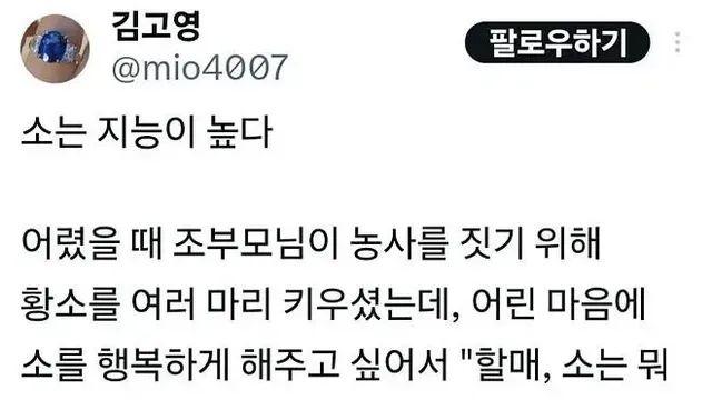 생각보다 지능이 높은 동물,,