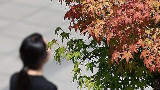 대전·세종·충남 내륙에 짙은 안개…낮 최고 26∼28도