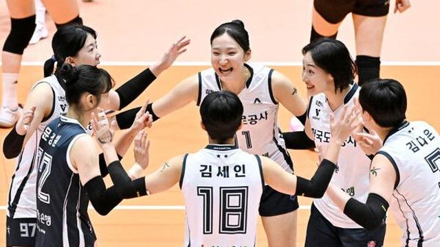 여자배구 한국도로공사, 정관장 3-1로 꺾고 컵대회 준결승 진출