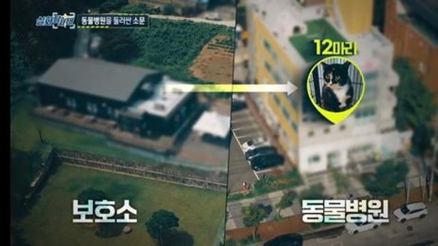 한국 동물보호단체와 동물실험병원 사이의 관계