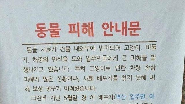 지능이 ㅈㄴ 많이 부족한 캣맘