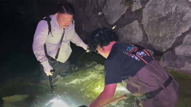 임금도 즐겨 먹었다는 귀하디 귀한 물고기가 도심에 있다니...