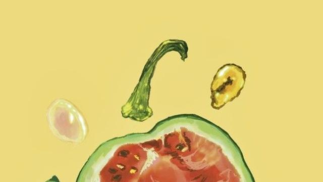 [벼내림 칼럼] 수박과 여름