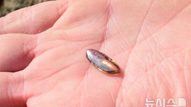 장난감 삽으로 2.79캐럿 다이아 발견…억세게 운 좋은 가족