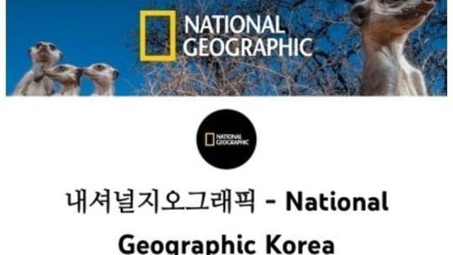 너튜브에서 이런 거만 보는 사람들 있음