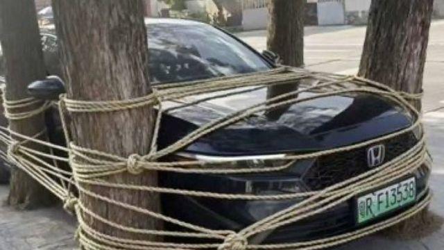 현재 태풍 때문에 비상 걸린 홍콩 상황