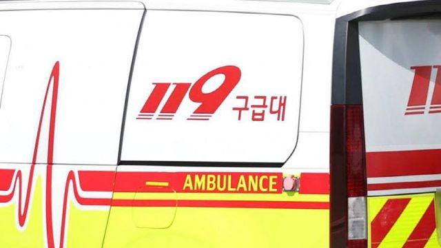 아파트 13층서 추락한 4살 아기…나무에 걸려 목숨 건져