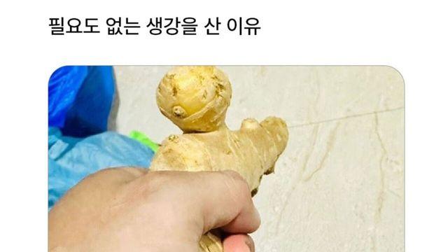 필요도 없는 생강을 산 이유 