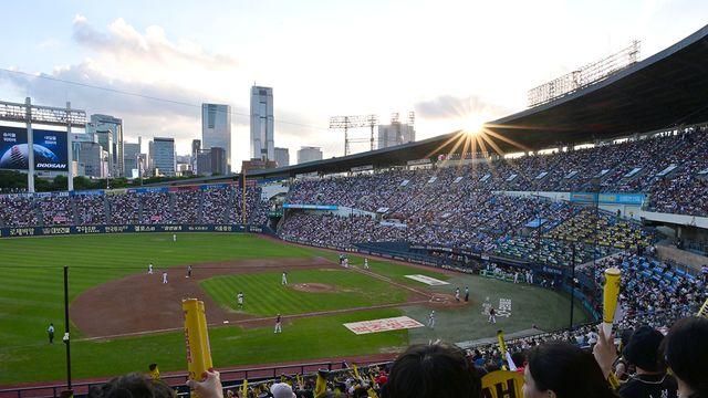 KBO, 정규시즌 잔여경기 일정 확정…10월 5일 PS 시작 유력 [공식발표]