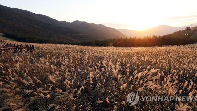 울주 관광명소 10경에 카페 연계 '울주 카페투어' 지도 제작
