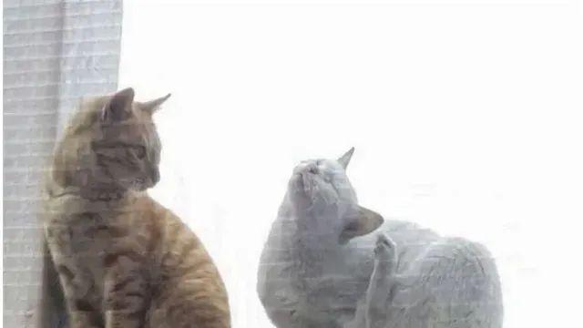 아내가 예뻐보여 뽀뽀 했더니…,,