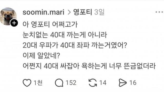 영포티 글이 멈추질 않는 이유
