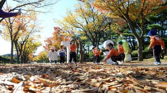 울산, 이번 주말 대체로 흐린 가운데 5~30㎜ 비