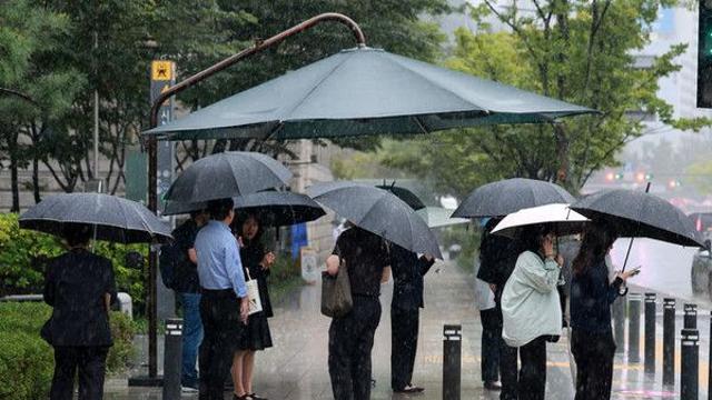 전국 최대 60㎜ 비…낮 최고 26도 '선선'[오늘날씨]