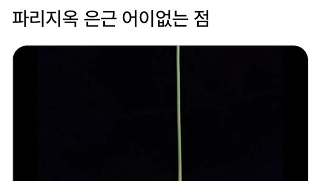 파리지옥 은근 어이없는 점
