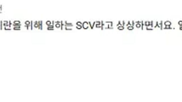 어느 외국인이 테란 브금을 쓰는 방법,,