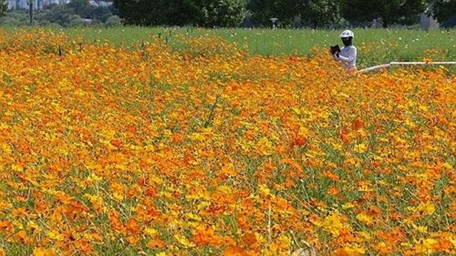 대전·세종·충남 흐리고 비…예상 강수량 10∼60㎜