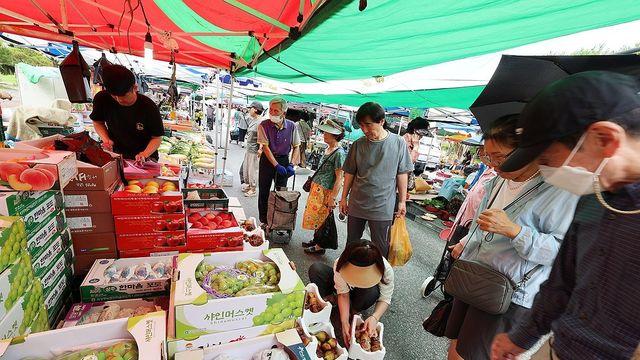 추석 성수품 21종 안정세…채소·사과 내리고 소고기 올라