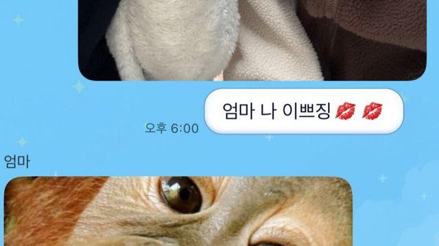화목화목 가족들....단톡방 모음.....JPG
