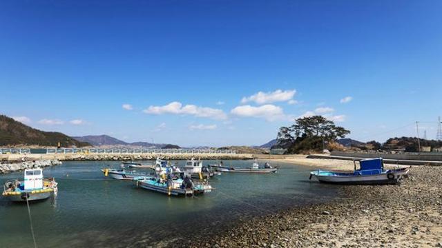 규모는 작지만 알차다… 공룡 발자국이 남아 있는 의외의 ‘국내 명소’