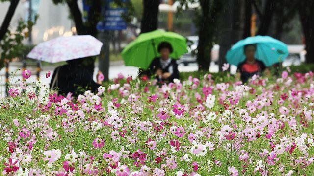 전북 늦은 오후까지 가끔 비…강수량 10∼40㎜