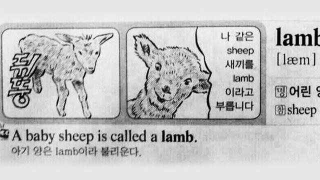 양갈비 시켰는데 다른 집으로 배송됨