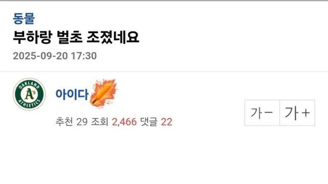 벌초하는 데 부하 데려간 사람,,