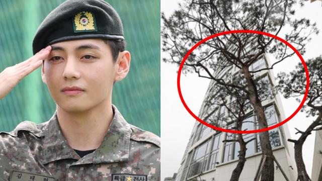 BTS 뷔가 현금 142억 주고 매입했다는 청담동 초고급 주택은 어디? (+PH129, 집, 재산, 나이)