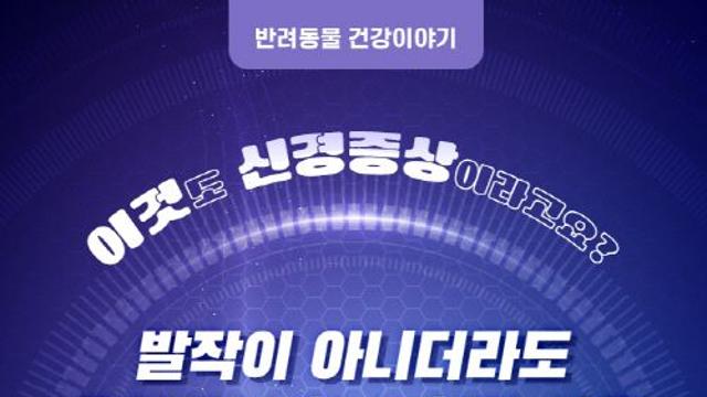 [반려동물 건강이야기] 발작이 아니더라도 유의해야 할 놓치기 쉬운 반려동물 신경증상