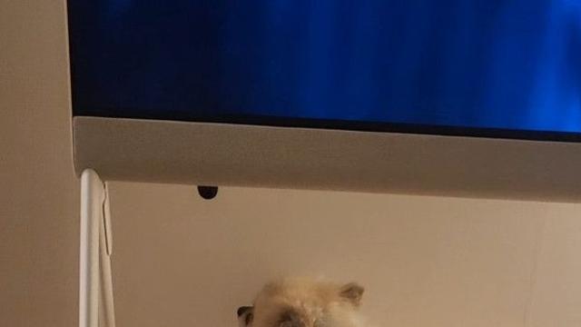 페퍼로 2행시 미션.~ ????