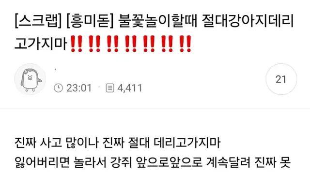 불꽃축제할때 절대 강아지 데리고 가지마,,