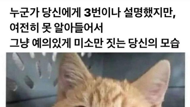 상대방의 말을 여전히 못 알아 들을 때 표정