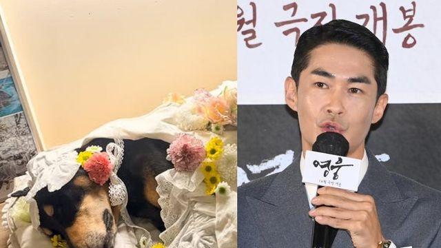 배정남, 심장마비로 반려견 잃었다 