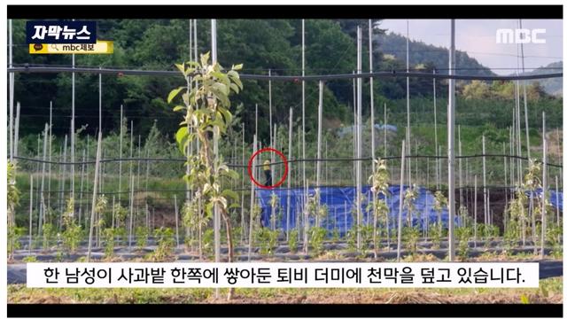 근무시간에 농협 직원들이 농사짓고 있었던 이유
