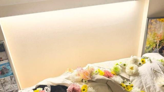 배정남 반려견 벨, 무지개 다리 건넜다 