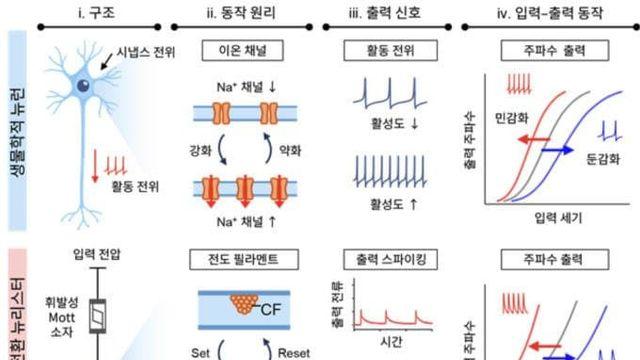 뇌처럼 '기억하고 적응하는' AI 반도체 나왔다...KAIST, 차세대