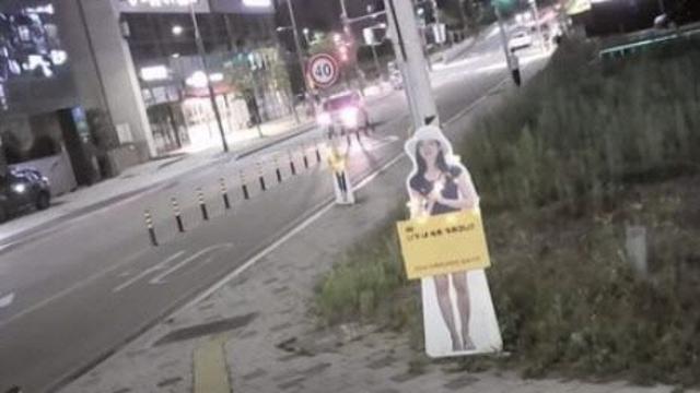 실종 여대생 등신대 훼손 뒤 
