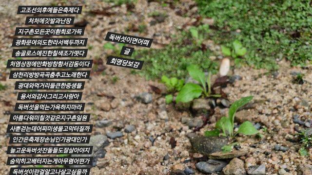 [보감과의 동행137] 독버섯이면어뗘
