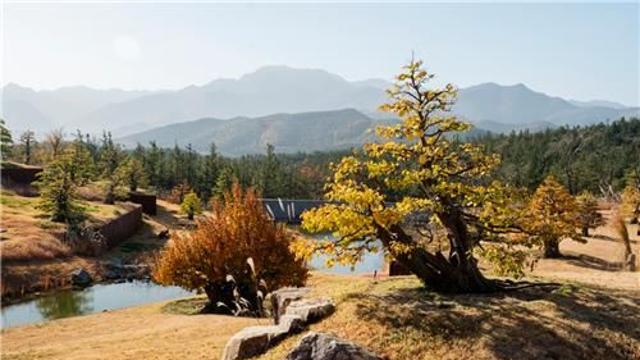 [여행소식] 사색·체험·낭만·미식…추석엔 가을빛 물든 국내 여행지로