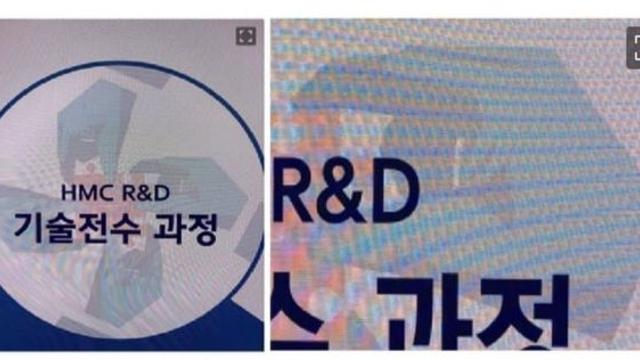 현대자동차 그 손가락