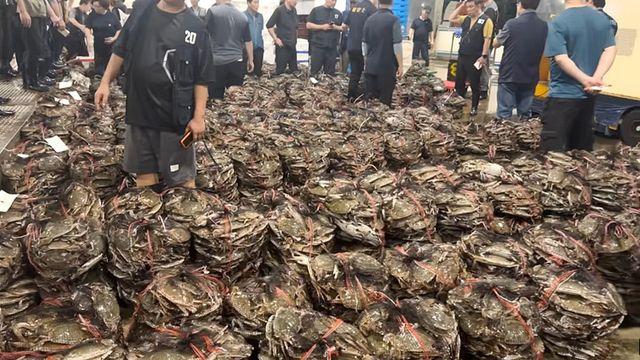 작년엔 꿈도 못 꿨는데…한 달 만에 5716톤 쏟아져 반값된 '한국 대표 해산물'