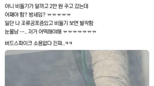 보증금 2만원 내고 자식을 두고감.,,