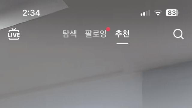 요즘 MZ 근황